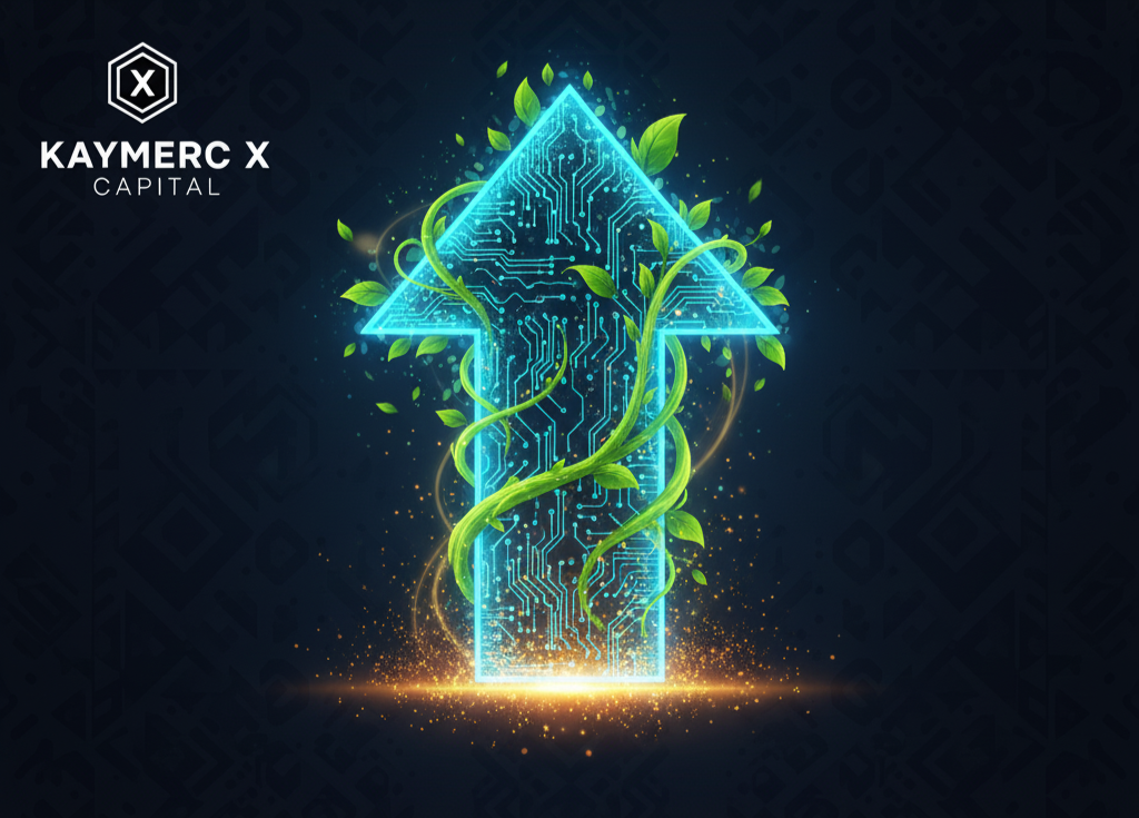 Kaymerc X Capital
